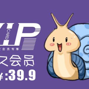永久VIP会员(推荐加站长微信支付)