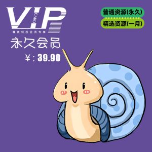 永久VIP(推荐加站长微信支付)