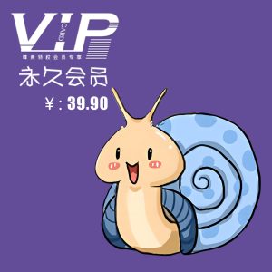 永久VIP(推荐加站长微信支付)