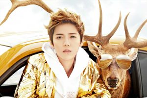 Read more about the article 鹿晗