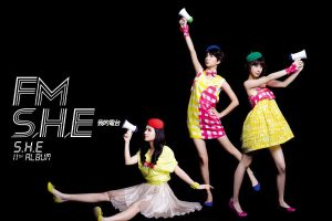 Read more about the article S.H.E所有专辑全部歌曲打包[WAV][整轨+分轨][18.28GB][百度云][夸克]网盘下载