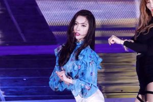 Read more about the article 宣美