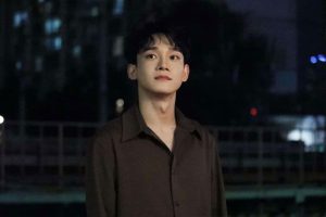 Read more about the article CHEN(2014-2020)所有专辑歌曲全合集[无损flac/0.98GB]百度云网盘下载