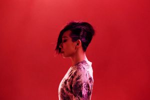 Read more about the article 林忆莲