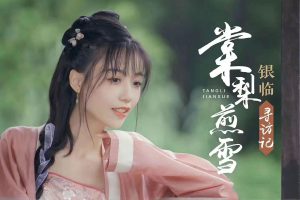 Read more about the article 银临精选157首歌曲合集[无损flac/4.08GB][百度云][夸克]网盘下载