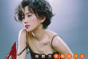 Read more about the article 梅艳芳部分高品质专辑歌曲合集[20.23GB]百度云网盘下载[SACD][dsf]