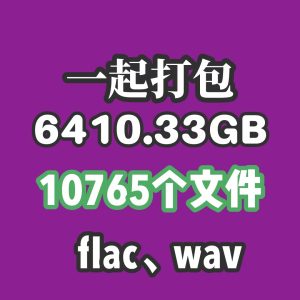 一次性打包所有资源(推荐加站长微信支付)