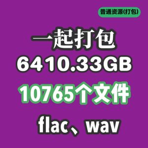 一次性打包所有资源(推荐加站长微信支付)