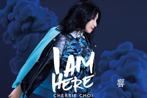 Read more about the article 蔡立儿（1988-2016）专辑歌曲合集[无损flac/2.71GB][百度云][夸克][城通]网盘下载